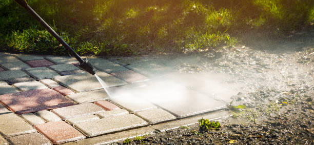 Animal Enclosure Cleaning in Xenia, OH